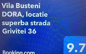 Vila Busteni DORA, locatie superba strada Grivitei 36